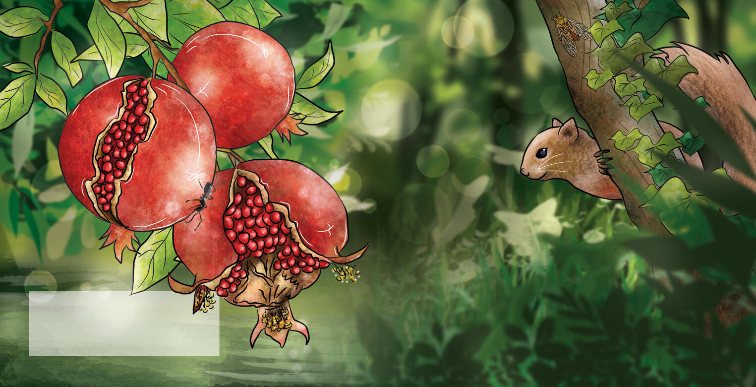 Little Ling's Blessings