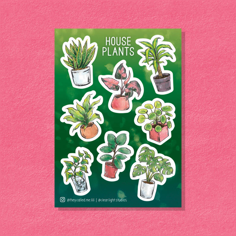 House Plants
