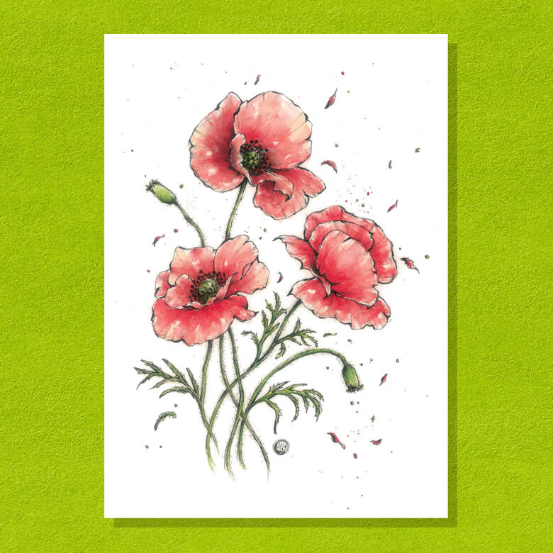 Poppies