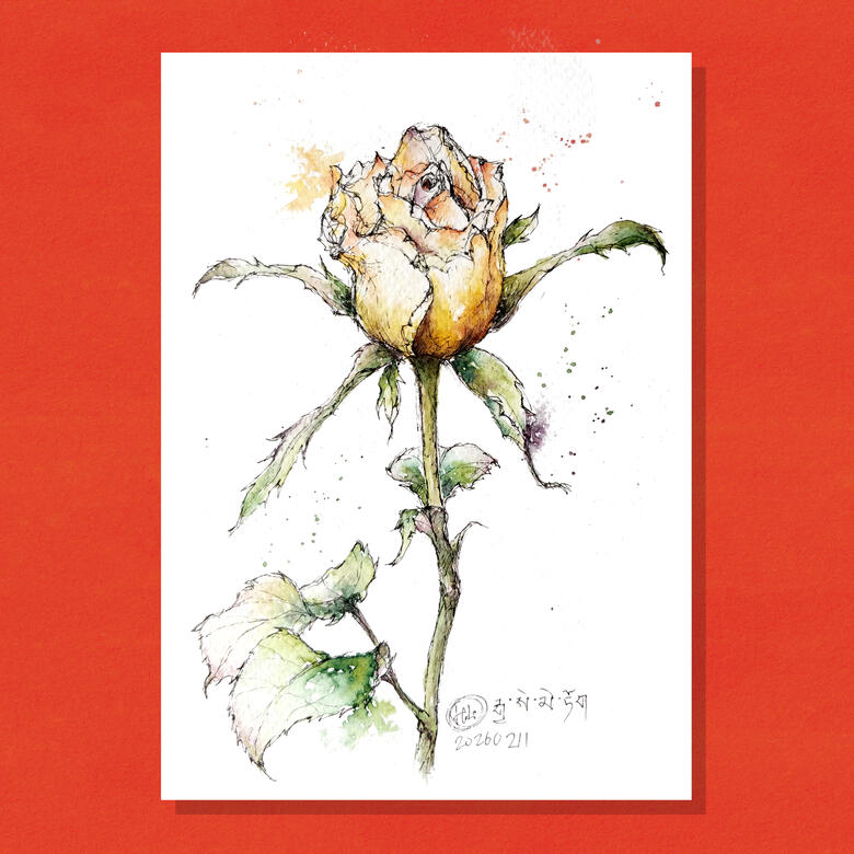 Rose 03